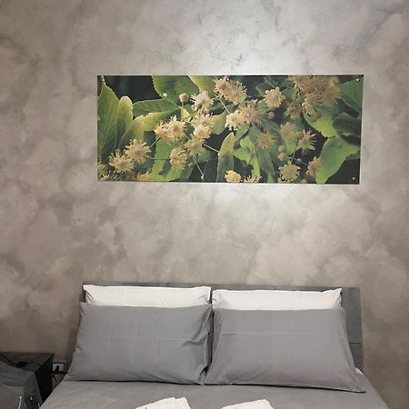 לדיספולי B&B Sulviale מראה חיצוני תמונה